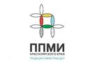 Программа поддержки местных инициатив